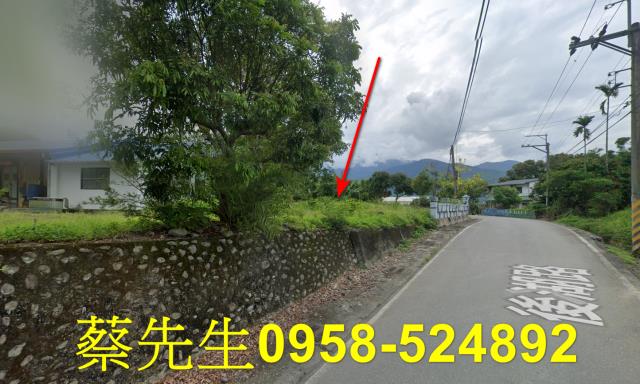花蓮建地法拍-7
