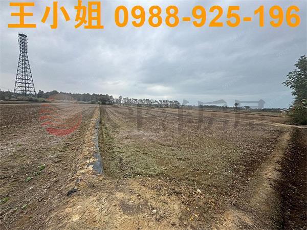 桃園新屋農地-6