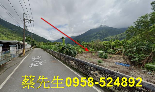 花蓮萬榮農地法拍-13