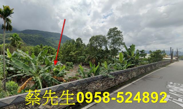 花蓮萬榮農地法拍-14