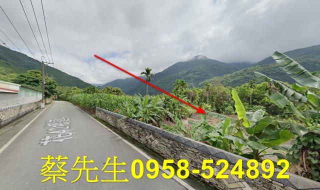 花蓮萬榮農地法拍-4