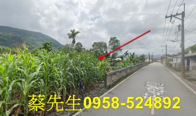 花蓮萬榮農地法拍-7