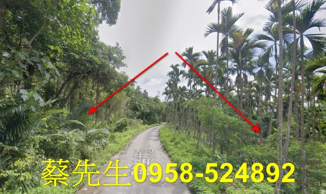 花蓮萬榮農地法拍-5