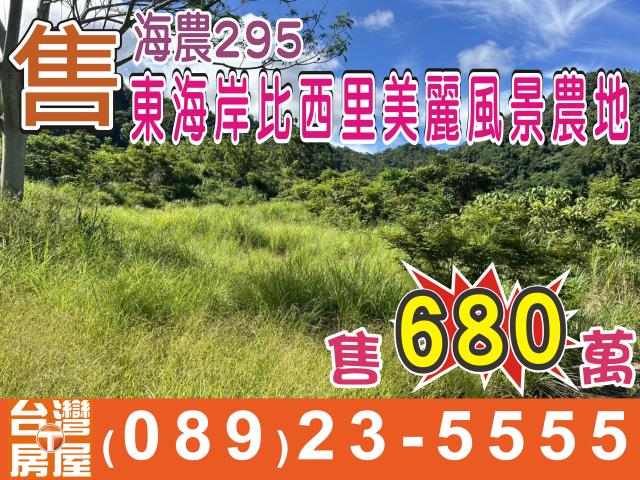 台東成功農地_休閒地-1