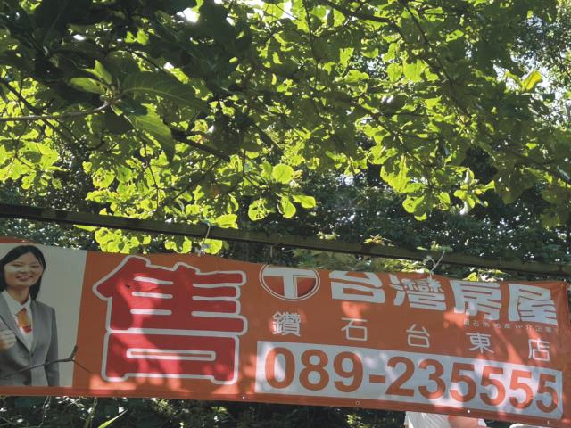 台東成功農地_休閒地-2