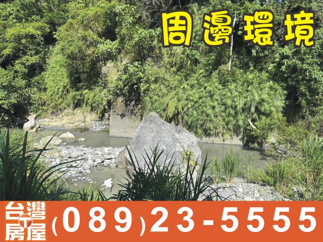 台東成功農地_休閒地-3