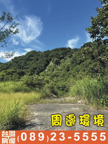 台東成功農地_休閒地-4