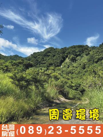 台東成功農地_休閒地-5
