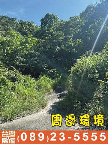 台東成功農地_休閒地-6
