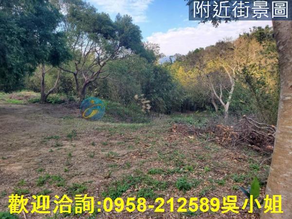 新竹新埔山坡地_休閒地-1
