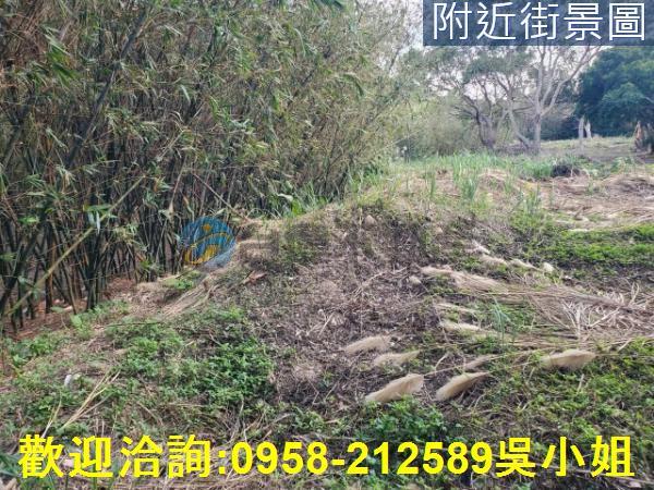 新竹新埔山坡地_休閒地-2