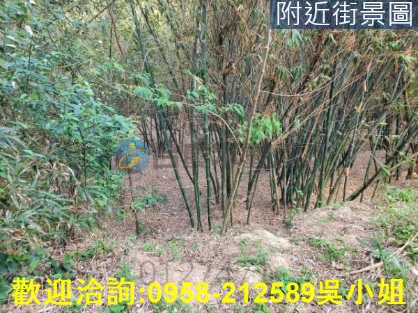 新竹新埔山坡地_休閒地-3