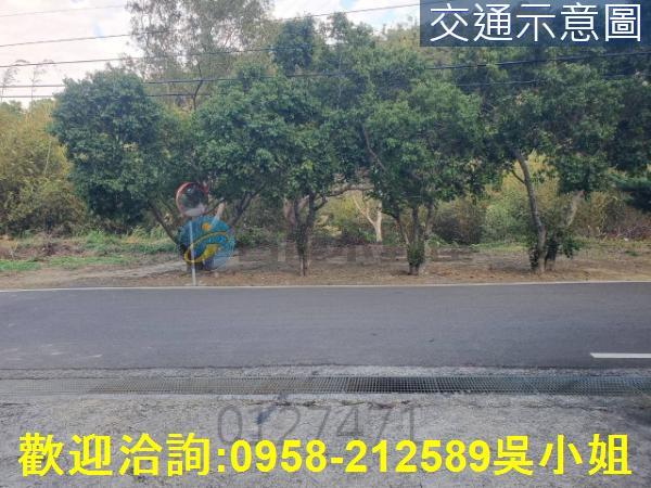 新竹新埔山坡地_休閒地-6