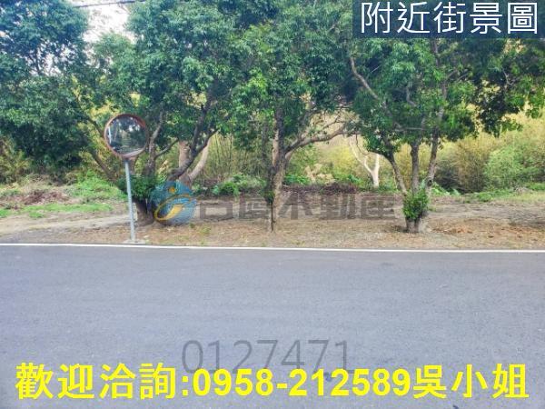 新竹新埔山坡地_休閒地-7