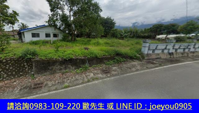 花蓮法拍建地-11