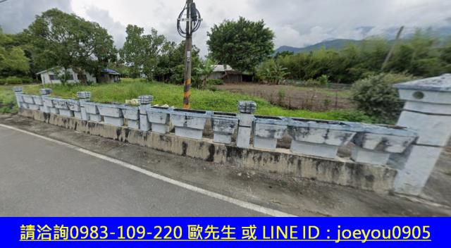 花蓮法拍建地-4
