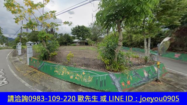 花蓮建地法拍-4