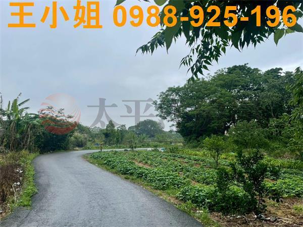 桃園八德農地-2
