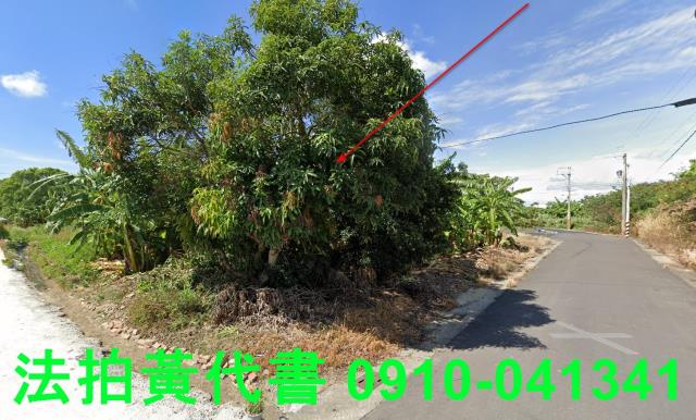 嘉義義竹建地拍賣-1