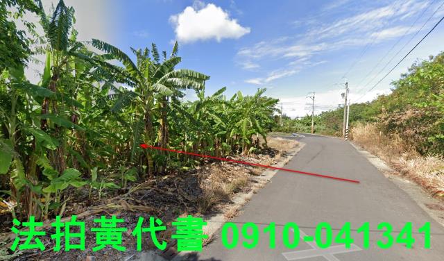 嘉義義竹建地拍賣-4