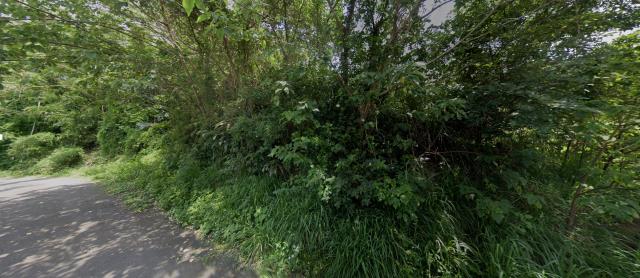 新竹寶山法拍山坡地_林地-5