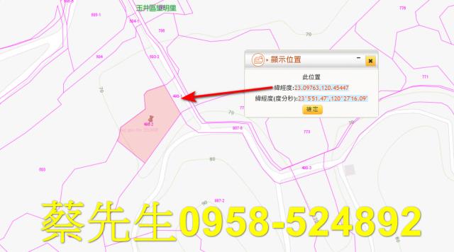 台南玉井農地法拍-10