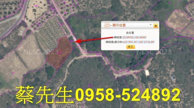 台南玉井農地法拍-11