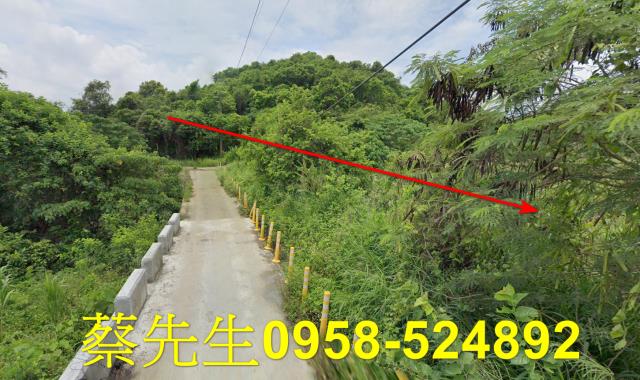 台南玉井農地法拍-14