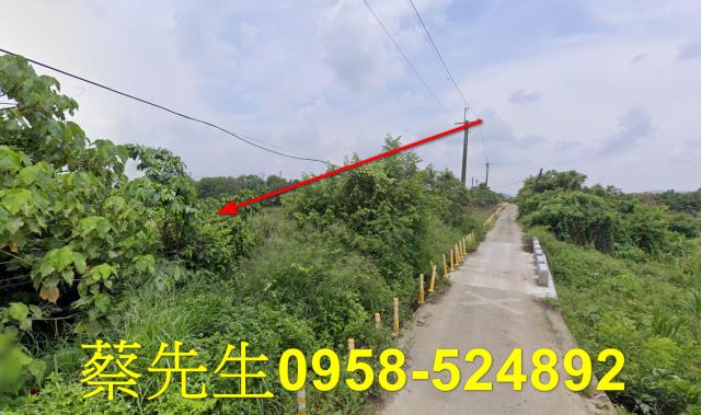 台南玉井農地法拍-4