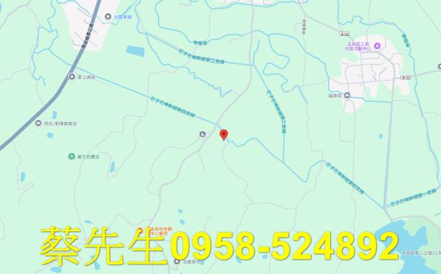 台南玉井農地法拍-8