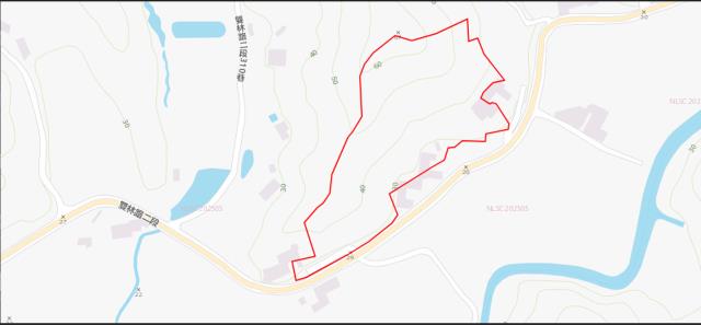 新竹寶山法拍農地_山坡地-8