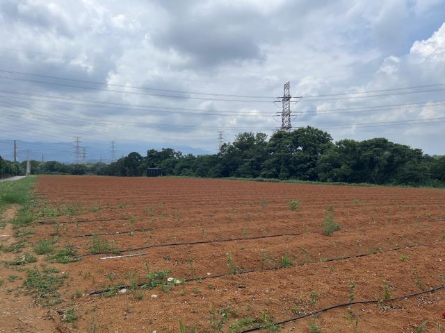 新竹關西農地_工業地-3