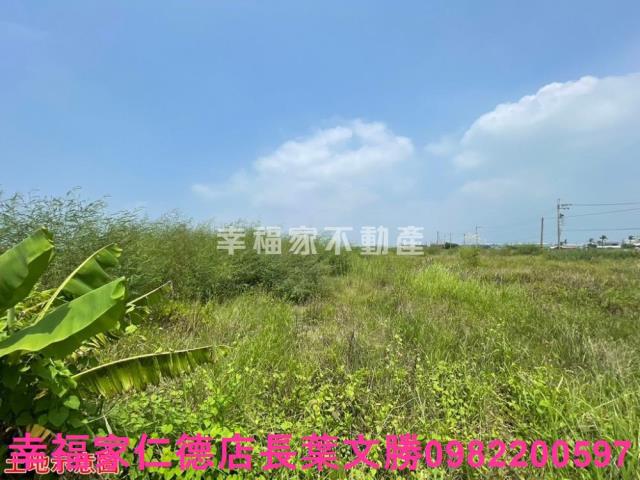 高雄湖內農地-8