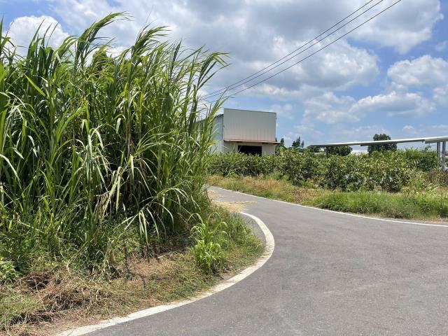 高雄農地-2