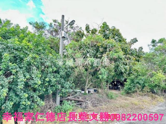 七股農地-11