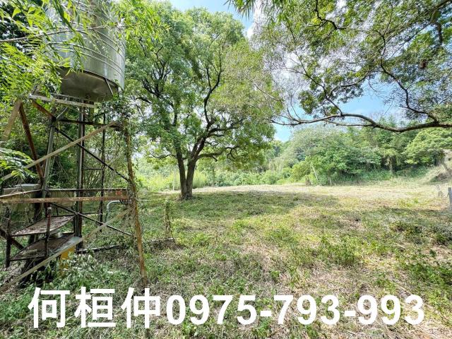 苗栗建地_休閒地-10
