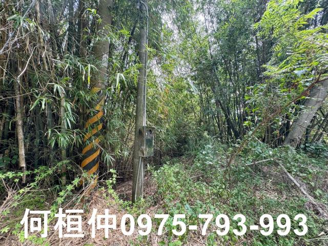 苗栗建地_休閒地-11