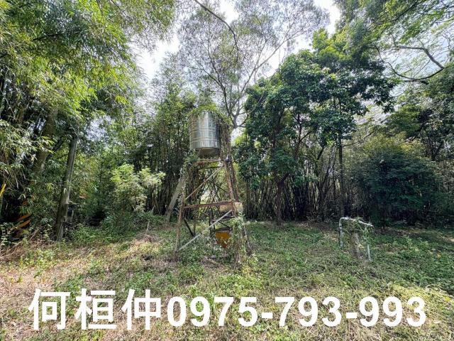 苗栗建地_休閒地-12