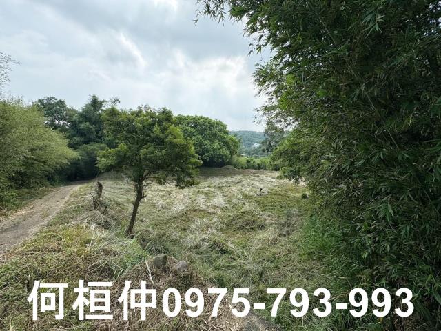 苗栗建地_休閒地-14