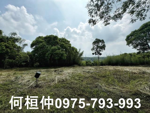 苗栗建地_休閒地-2