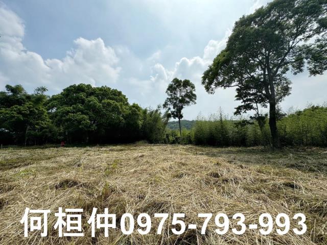 苗栗建地_休閒地-3