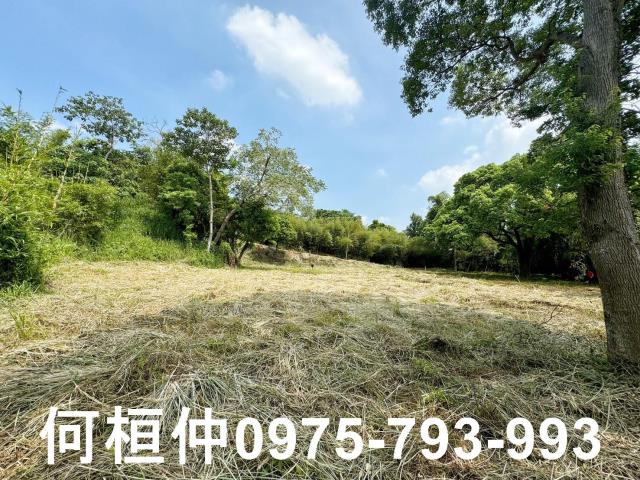 苗栗建地_休閒地-5
