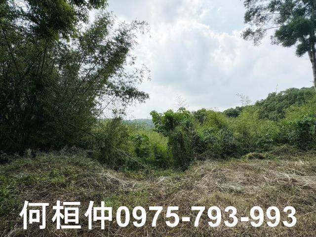 苗栗建地_休閒地-7