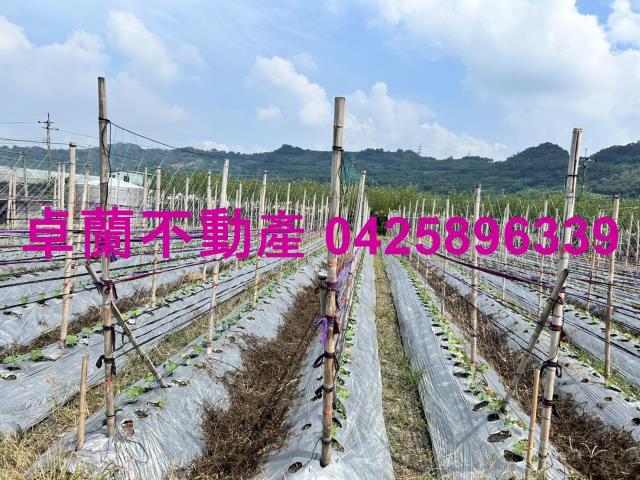 苗栗卓蘭農地-5