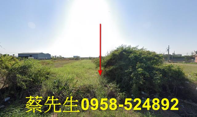 台南拍賣農地-9