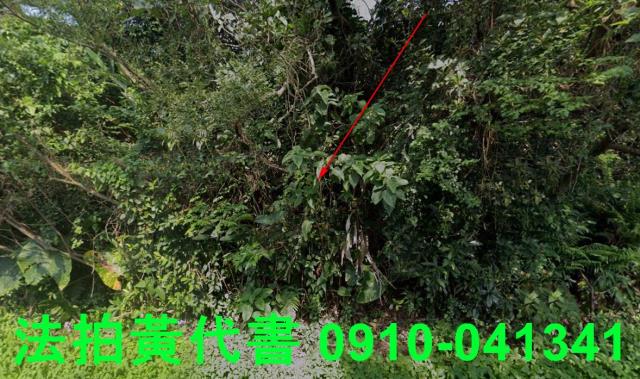 新北石門法拍農地-1