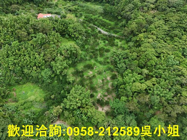 新竹關西山坡地_休閒地-3