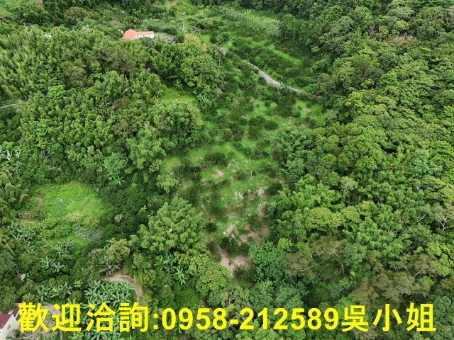 新竹關西山坡地_休閒地-4