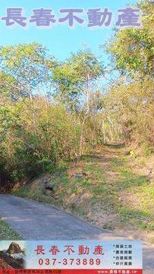 苗栗銅鑼農地_山坡地_休閒地-2