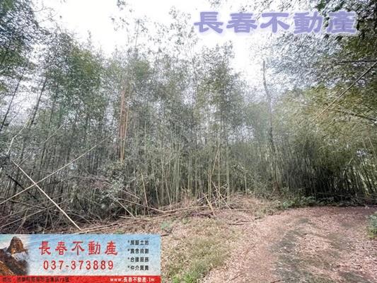苗栗銅鑼農地_山坡地_休閒地-4